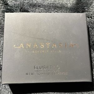 Anastasia Beverly Hills Blush Trio in “Pool Party”